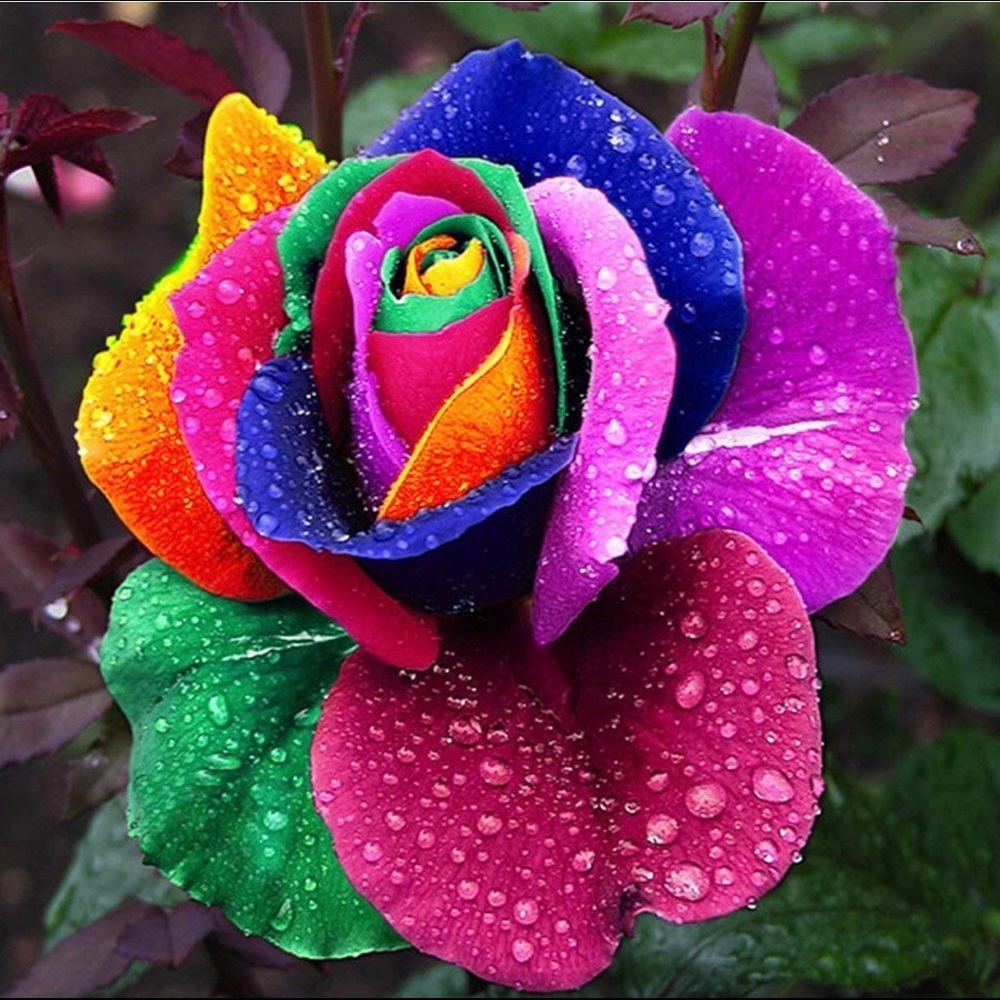 Meet your Posher, Kulbir